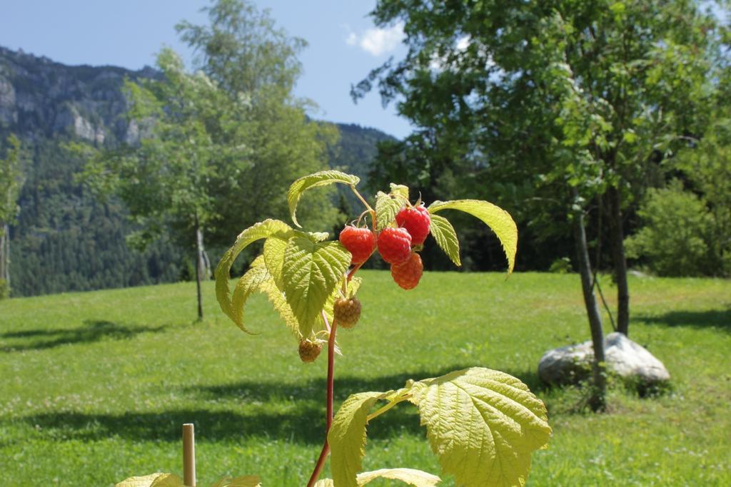 Maso Fradea Otel Castello Tesino Dış mekan fotoğraf